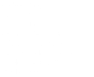 • Advertising • Training • Accounting • Human Resources • Customer Support • Control & Information • Mobile Applications • Web Presence.