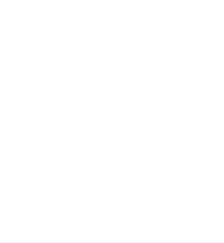 • Marketing • Advertising • Training • Accounting • Control & Information • Human Resources • Customer Support • Mobile Applications • Web Presence.